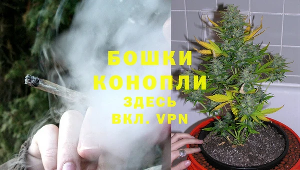 спайс Балахна