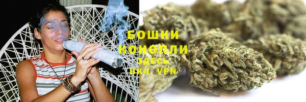 крисы Надым